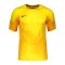 Nike Gardien IV Torwarttrikot Gelb F719 - gelb
