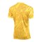 Nike Gardien V Torwarttrikot Gelb F719 - gelb