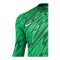 Nike Gardien V Torwarttrikot Grün F329 - gruen
