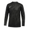 Nike Gardien V Torwarttrikot langarm Grau F060 - grau
