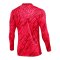 Nike Gardien V Torwarttrikot langarm Rot F644 - rot