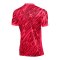 Nike Gardien V Torwarttrikot Rot F644 - rot