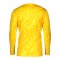 Nike Gardien V TW-Trikot langarm Gelb F719 - gelb