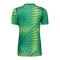 Nike Gardien VI Torwarttrikot Damen Grün F324 - gruen