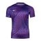 Nike Gardien VI Torwarttrikot Damen Lila F507 - lila