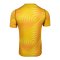 Nike Gardien VI Torwarttrikot Gelb F718 - gelb