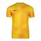 Nike Gardien VI Torwarttrikot Gelb F718 - gelb
