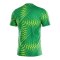 Nike Gardien VI Torwarttrikot Grün F324 - gruen
