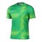 Nike Gardien VI Torwarttrikot Kids Grün F324 - gruen