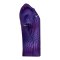 Nike Gardien VI Torwarttrikot Kids Lila F507 - lila