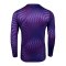 Nike Gardien VI Torwarttrikot Langarm Lila F507 - lila