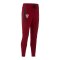 Nike HNS Kroatien Club Jogginghose Rot F677 - rot