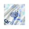 Nike Inter Mailand Authentic Trikot Away 2025/2026 Blau F497 - blau