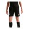 Nike ACG X Inter Mailand 4th Short 2025/2026 Kids Schwarz F010 - schwarz