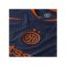 Nike Inter Mailand Authentic Trikot 3rd 2025/2026 Blau F438 - blau