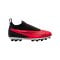 Nike Jr Phantom GX Academy DF AG Ready Kids Rot Schwarz Weiss F600 - rot