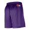 Nike LA Lakers Mesh Short Lila F504 - lila