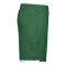 Nike Laser VI Short Kids Grün F302 - gruen