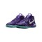 Nike LBJ NXXT Genisus QS Lila F501 - lila