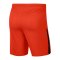 Nike League Knit II Short Orange F891 - orange