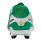 Nike Legend 10 Academy LV8 FG Fear Nothing Grün F300 - gruen