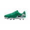 Nike Legend 10 Academy LV8 FG/MG Fear Nothing Kids Grün F300 - gruen