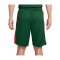 Nike Litauen Limited Road Short Olympia 2024 Grün F341 - gruen