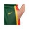 Nike Litauen Limited Road Short Olympia 2024 Grün F341 - gruen