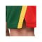 Nike Litauen Limited Road Short Olympia 2024 Grün F341 - gruen