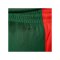 Nike Litauen Limited Road Short Olympia 2024 Grün F341 - gruen