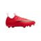 Nike Jr. Air Zoom Mercurial Vapor XVII Academy MG Break'Em Kids Rot F600 - rot