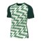 Nike Naija Trikot kurzarm Grün Weiss F302 - gruen