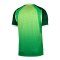 Nike NFF Nigeria Trikot Home WM 2026 Grün F302 - gruen