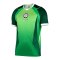 Nike NFF Nigeria Trikot Home WM 2026 Grün F302 - gruen