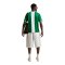 Nike Nigeria Reissue 1996 Trikot Grün F310 - gruen