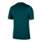 Nike Nigeria Trikot Home 2025/2026 Blau F483 - gruen