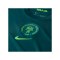 Nike Nigeria Trikot Home 2025/2026 Blau F483 - gruen