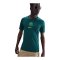 Nike Nigeria Trikot Home 2025/2026 Blau F483 - gruen
