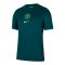 Nike Nigeria Trikot Home 2025/2026 Blau F483 - gruen