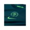 Nike Nigeria Trikot Home 2025/2026 Damen Blau F483 - gruen