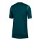 Nike Nigeria Trikot Home 2025/2026 Kids Blau F483 - gruen
