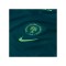 Nike Nigeria Trikot Home 2025/2026 Kids Blau F483 - gruen