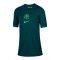 Nike Nigeria Trikot Home 2025/2026 Kids Blau F483 - gruen