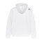 Nike NZSx11TS Slowenien Hoody EM 2024 Weiss F100 - weiss