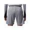 Nike Paris Saint-Germain Strike Short Kids Grau F079 - grau