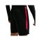 Nike Paris Saint-Germain Strike Short Schwarz F010 - schwarz