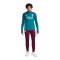 Nike Paris St. Germain Auth. Trainingshose Rot F610 - rot