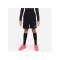 Nike Park 20 Fleece Short Kids Schwarz Weiss F010 - schwarz
