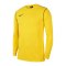 Nike Park 20 Sweatshirt Kids Gelb Schwarz F719 - gelb
