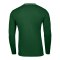 Nike Park 26 Longsleeve Grün F302 - gruen